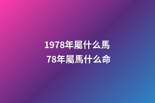 1978年屬什么馬 78年屬馬什么命-第1張-觀點-玄機派
